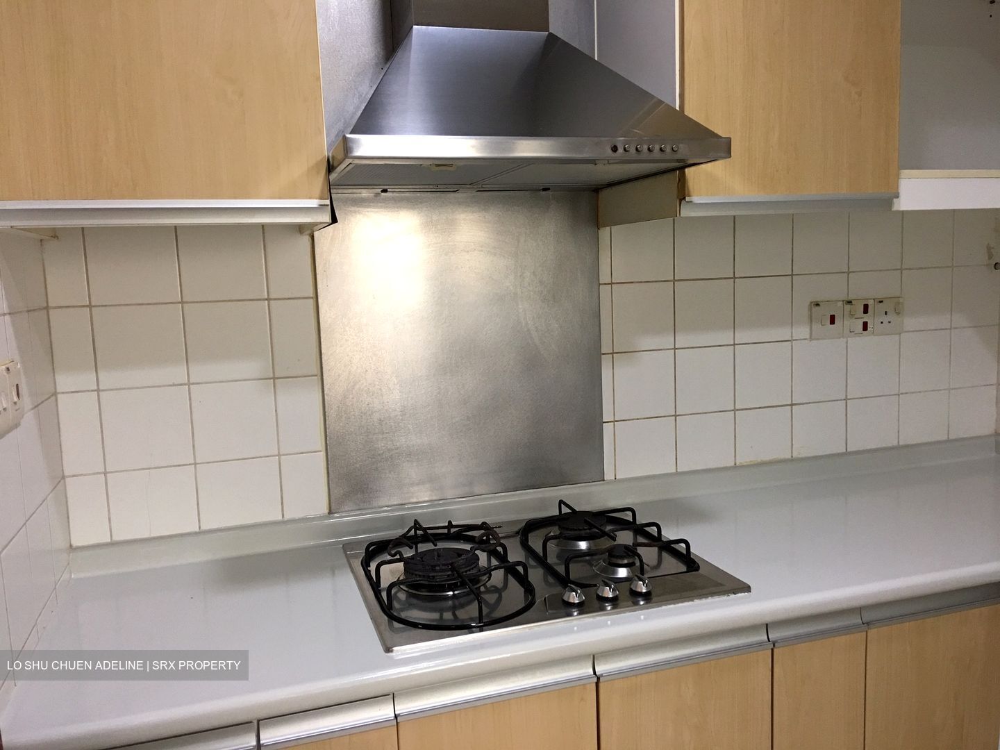 Edelweiss Park Condominium (D17), Condominium #628881651